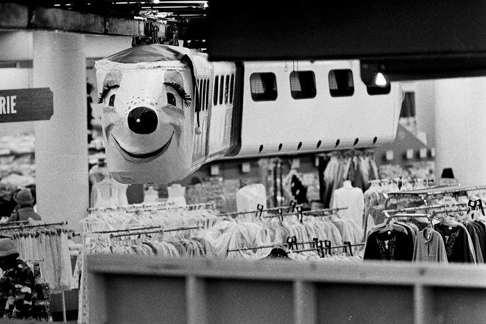 Herpolsheimers - From Grand Rapids Library (newer photo)